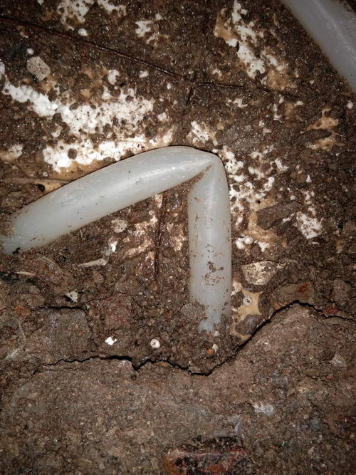 循化堵点精准查找